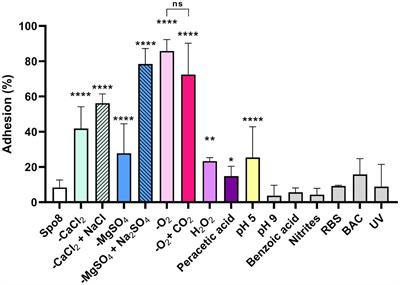Sporulation conditions influence the surface and adhesion properties of Bacillus subtilis spores